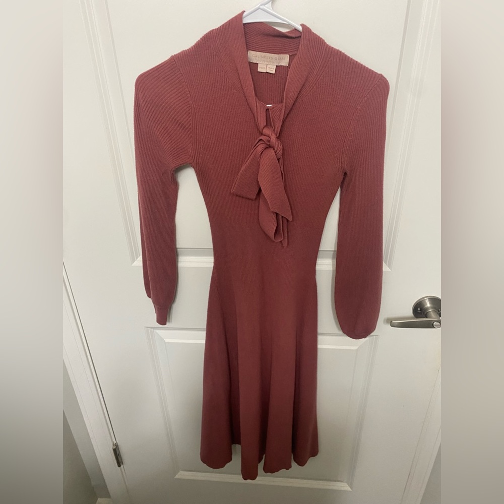 Brianna Sweater Dress in XXSP
